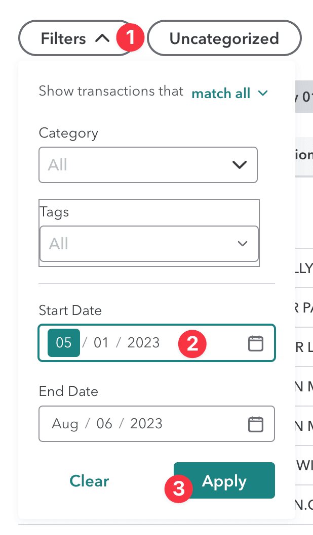 Mint filter transactions