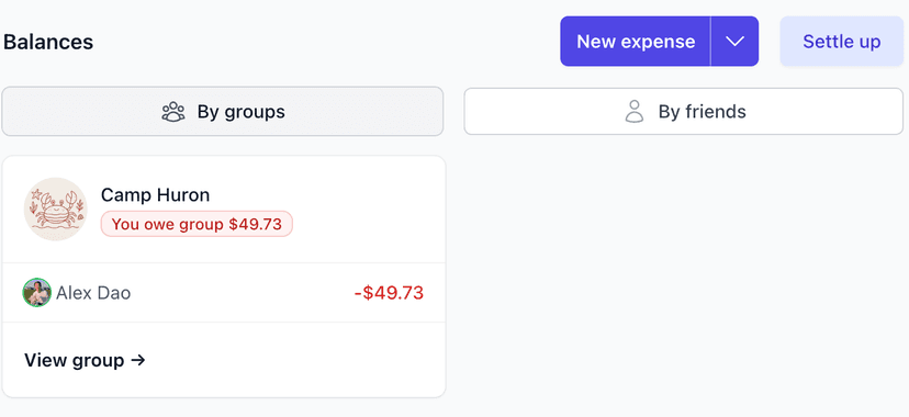 Switch between group and friend balance views instantly