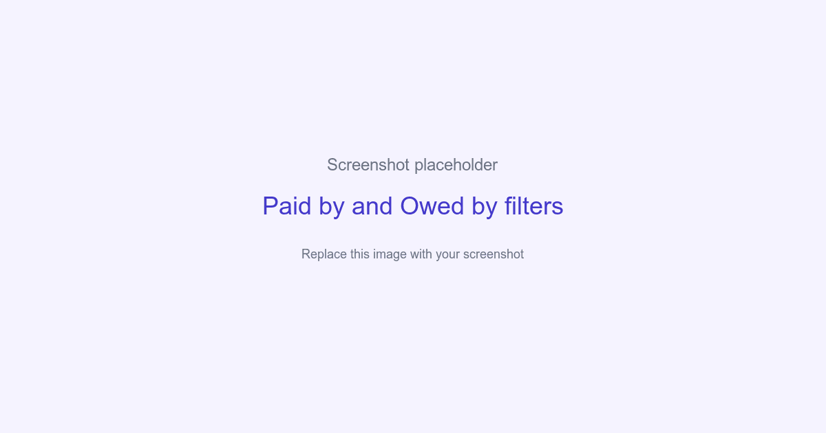 Screenshot placeholder for Paid by and Owed by filters